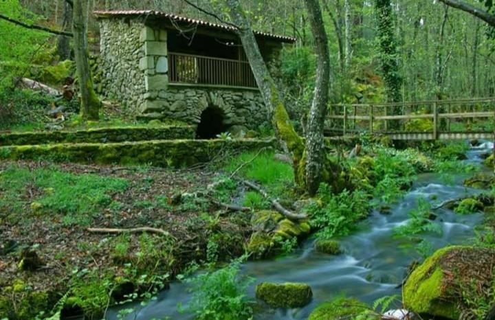 Casa Chuss *